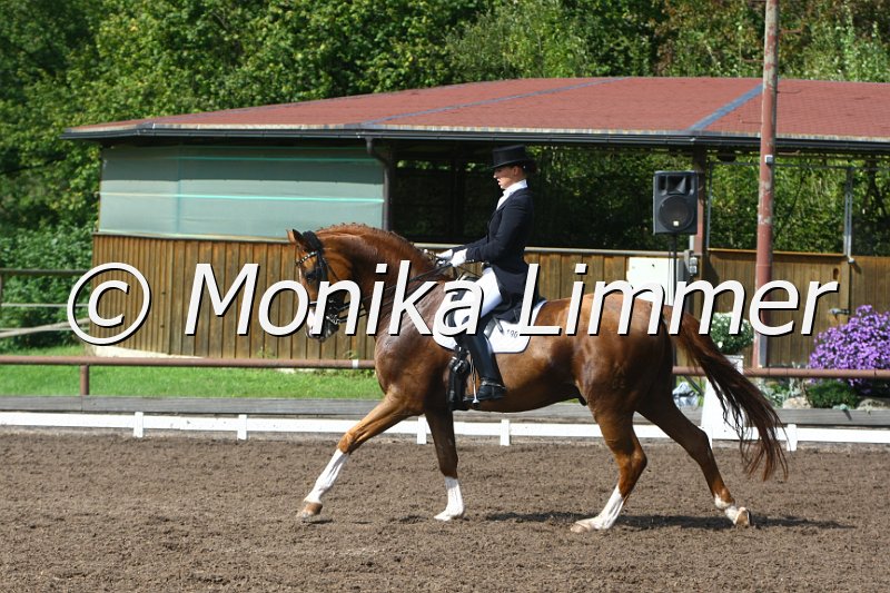 109M4274_Riolino_Dressur Sxx.JPG